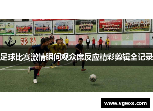足球比赛激情瞬间观众席反应精彩剪辑全记录