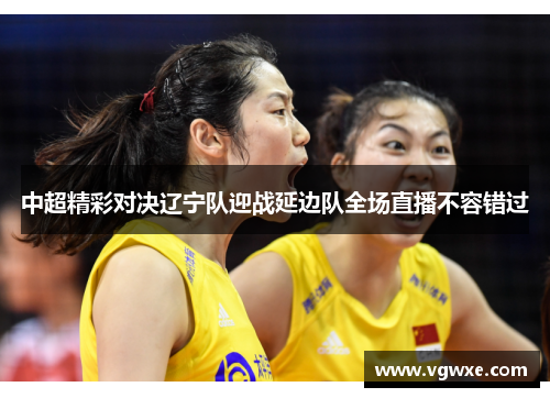 中超精彩对决辽宁队迎战延边队全场直播不容错过
