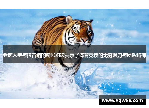 老虎大学与拉古纳的精彩对决揭示了体育竞技的无穷魅力与团队精神
